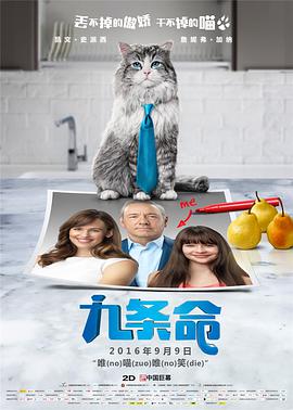 久久视频这里有久久精品视频11
